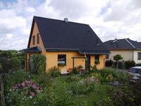 Komfortables Einfamilienhaus mit moderner Ausstattung (NEUBAU 2024) - Oststeinbek Schleswig-Holstein - Oststeinbek Vorschau