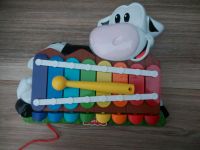 Fisher price xylophon- Kuh Dresden - Südvorstadt-Ost Vorschau