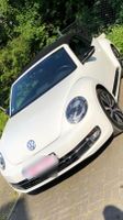 VW Beetle Käfer 2.0 TSI BMT Excl. Sport Cabriolet.. Nordrhein-Westfalen - Haltern am See Vorschau