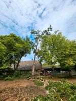 Baumfällung Baumklettern Baumpflege Sturmschaden Rückschnitt Nordrhein-Westfalen - Weilerswist Vorschau