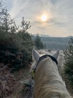 Naturdünger (reiner Pferdemist) gut abgelagert Nordrhein-Westfalen - Kürten Vorschau