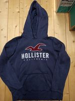 Hollister Hoodie Größe S Niedersachsen - Scharnebeck Vorschau