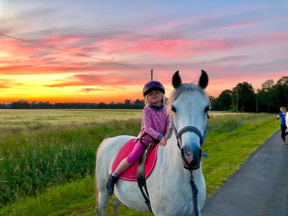 Ponyreiten Familien Ausflug in Greven