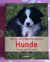 Praxis Handbuch für Hunde Königs Wusterhausen - Wildau Vorschau