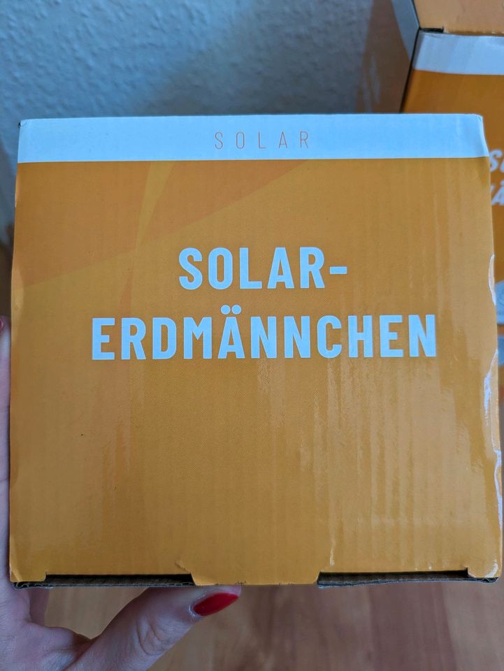 Solarlampe Solar Erdmännchen Balkon Garten in Bonn