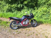 YAMAHA XJ 600 S Rheinland-Pfalz - Langenhahn Vorschau