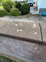 Mauerabdeckplatten Nordrhein-Westfalen - Bergkamen Vorschau
