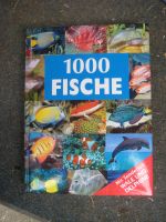 1000 Fische   Buch  5 Euro Nordrhein-Westfalen - Espelkamp Vorschau