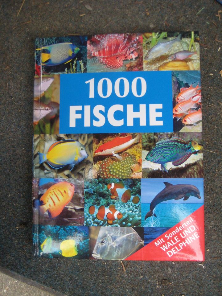 1000 Fische   Buch  5 Euro in Espelkamp