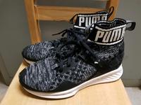 Puma Ignite Turnschuhe Schuhe Gr. 37 neuwertig Baden-Württemberg - Bad Säckingen Vorschau