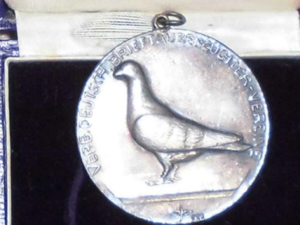 Silber Bronze Medaille Etui Verband Deutscher Brieftauben 1920 in Bottrop