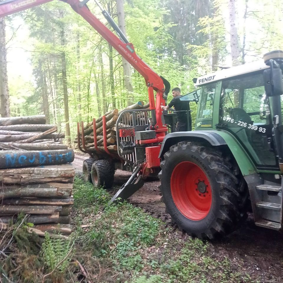 Holzrücken/Holztransport/Hackguttransport in Bermatingen