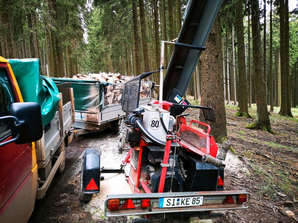 FICHTE,SOFORT LIEFERBAR,Brennholz,Buche,Eiche,Scheitholz in Kreuztal