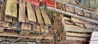 Holz zu Verschenken Brandenburg - Oberkrämer Vorschau