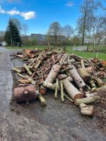 Frisches Feuerholz Stammware zu verkaufen Niedersachsen - Ovelgönne Vorschau