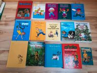 Kinder-Bücher Klassiker Lindgren, !!!, Wilde Hühner, Kästner, ... Niedersachsen - Bad Laer Vorschau
