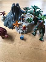 Playmobil 5230 T-Rex und Saichania bei Vulkan Eimsbüttel - Hamburg Lokstedt Vorschau