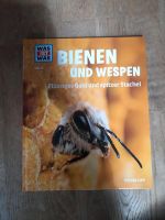 Bienen und Wespen- Flüssiges Gold und spitzer Stachel Niedersachsen - Burgdorf Vorschau