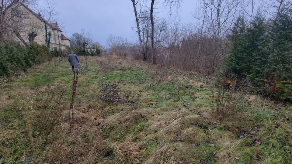 Baugrundstück mit Bestandsgebäude im Mischgebiet in Colditz