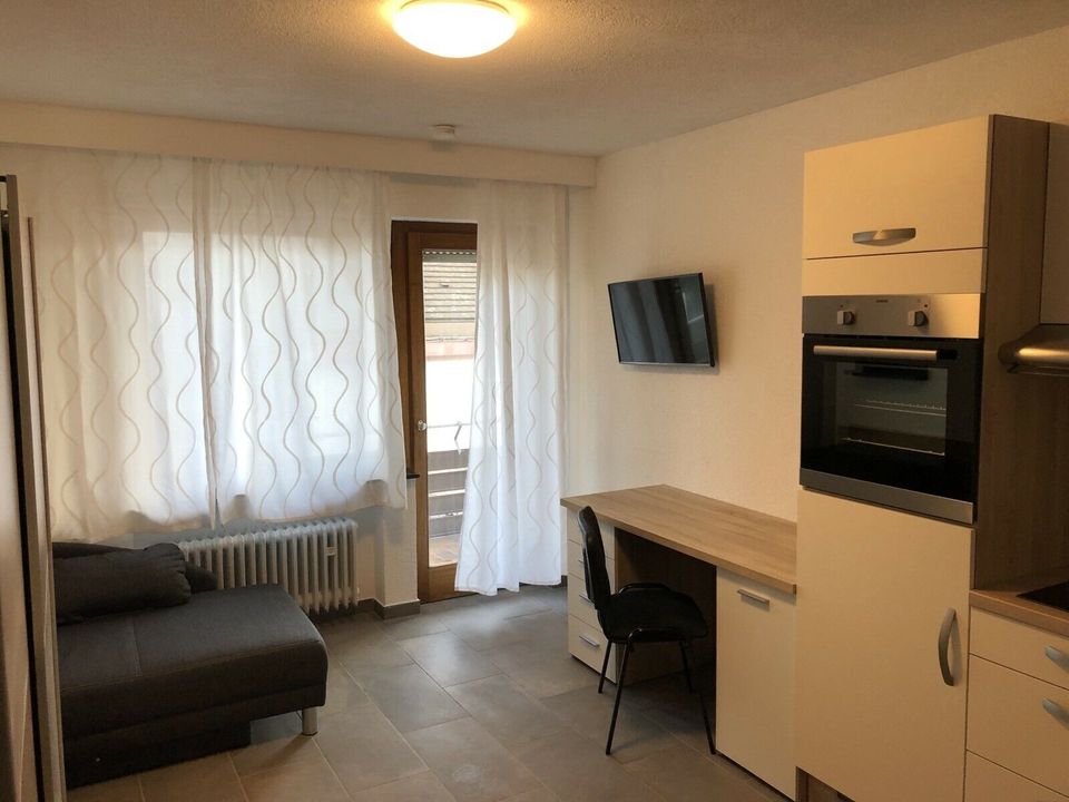 1 Zimmer Apartment in ruhiger Lage in Bad Mergentheim