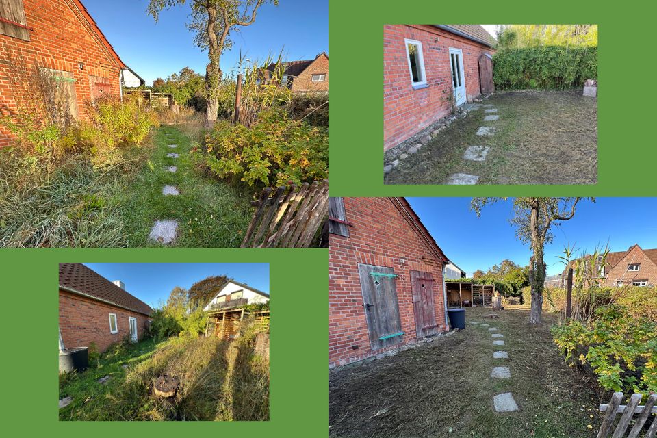 Gartenarbeit / Gartenpflege / Heckeschneiden in Kiel