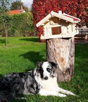 Vogelhaus,Luxus Vogelhaus Futterhaus Sachsen-Anhalt - Osterwieck Vorschau