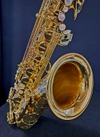 Selmer SA80 Serie II Tenorsaxophon Hessen - Gießen Vorschau