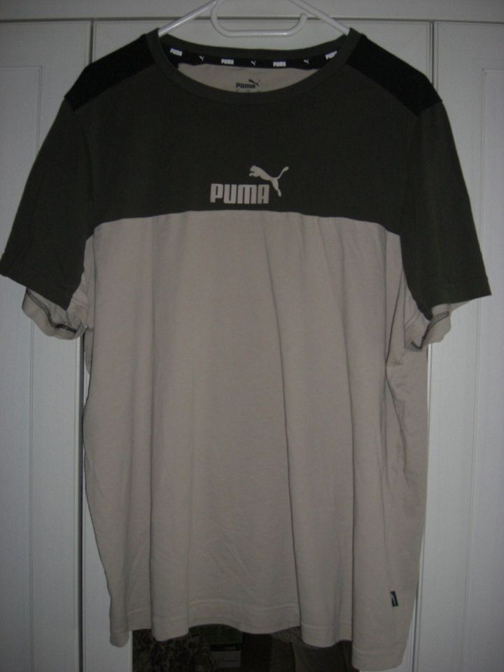 PUMA TSHIRTS UND KURZE HOSE...GR: L in Kiel