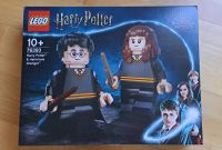 LEGO Harry Potter und Hermine Granger 76393 - OVP / EOL Bayern - Bad Kissingen Vorschau