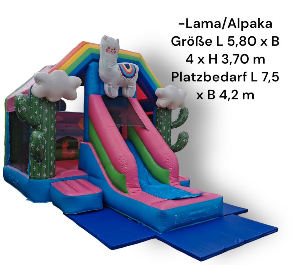 No Drama Lama XL Hüpfburg Alpaka Regenbogen Mädchen | mieten in Sindelfingen