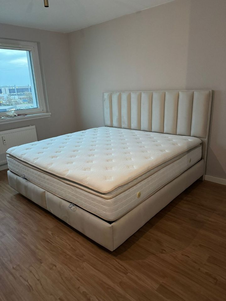 Neu/Boxspringbett/Doppelbett/Bett/Creme/Grau/Samt/Puma in Berlin