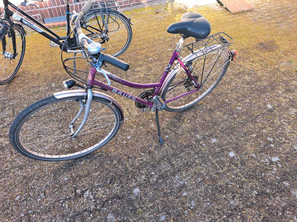 fahrrad respect bauer 28 Zoll in Eisenhüttenstadt