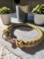 Hunde Halsband Paracord Bayern - Bad Birnbach Vorschau