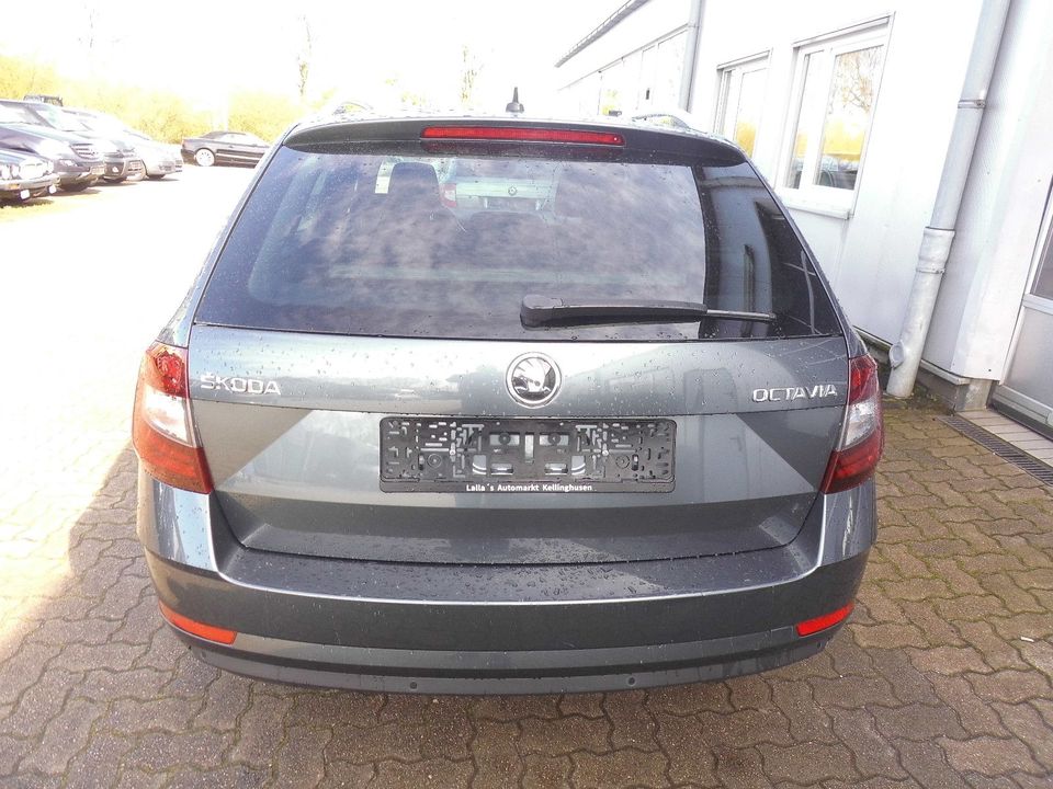 Skoda Octavia Combi Soleil DSG in Kellinghusen