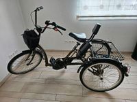 Dreirad E-Bike Lastenrad Palermo Pfau-Tec Niedersachsen - Vechelde Vorschau