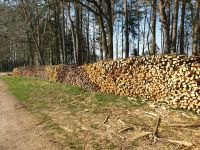 Holz, Kaminholz, Feuerholz, Brennholz, Ster Bayern - Herzogenaurach Vorschau