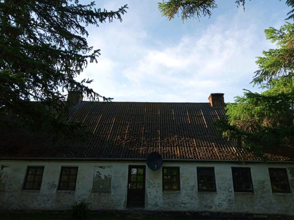 Kleiner Hof in Dänemark in Flensburg