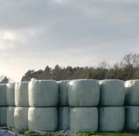 Gras-Silage / Heulage in Rundballen Niedersachsen - Gifhorn Vorschau