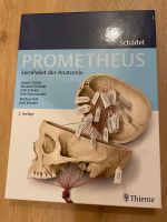 Prometheus Lernpaket Schädel Anatomie Baden-Württemberg - Freiburg im Breisgau Vorschau
