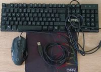 Empire Gaming Tastatur mit Mouse und Pad Nordrhein-Westfalen - Velen Vorschau