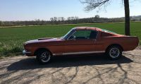 Ford Mustang Fastback Coupe Oldtimer & Hochzeitsauto mieten! Berlin - Charlottenburg Vorschau