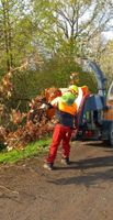 Häckseln, Schreddern & Äste entsorgen Hessen - Diemelstadt Vorschau