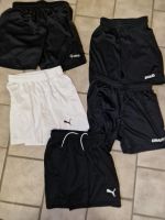 Fußballhosen Shorts Fußballshorts Gr 140 bis 152 Nordrhein-Westfalen - Haltern am See Vorschau