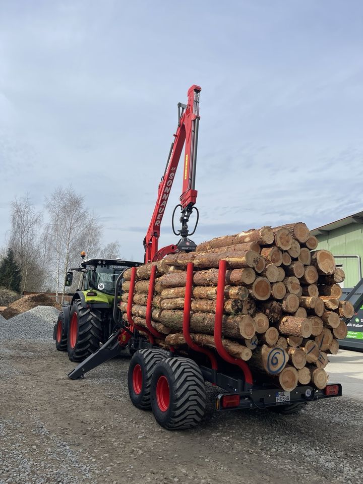 Forstarbeiten Holzarbeiten Holzrücken Holzernte Durchforstung in Schierling