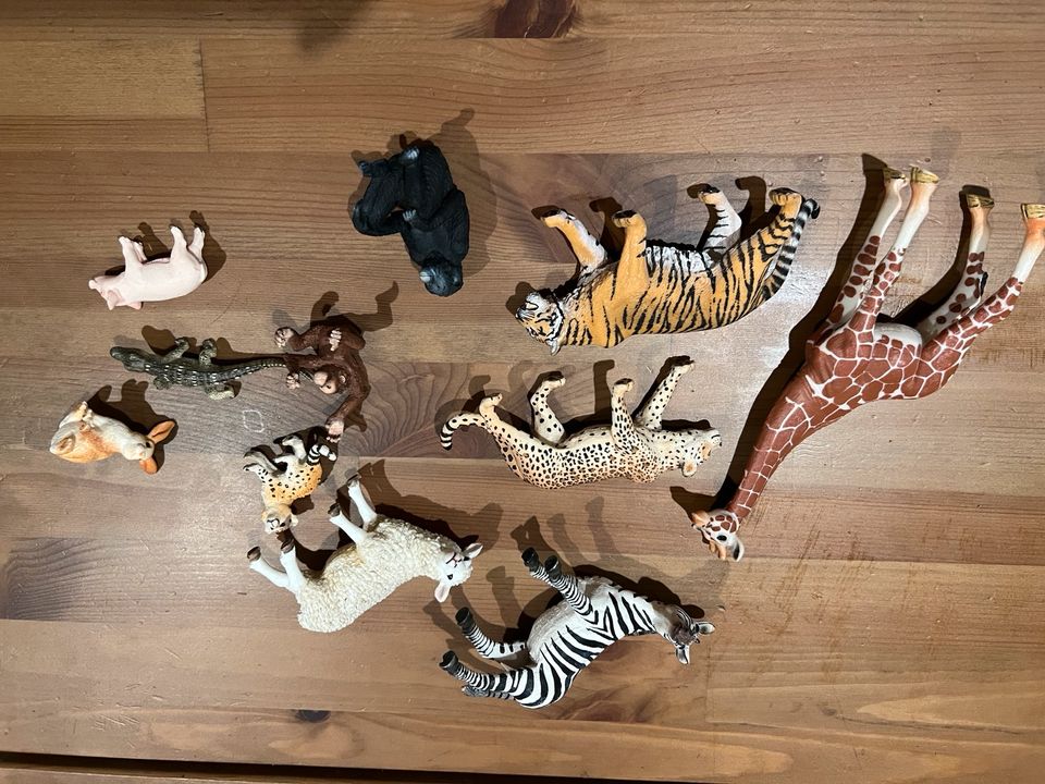 Schleich Tiere in Malschwitz