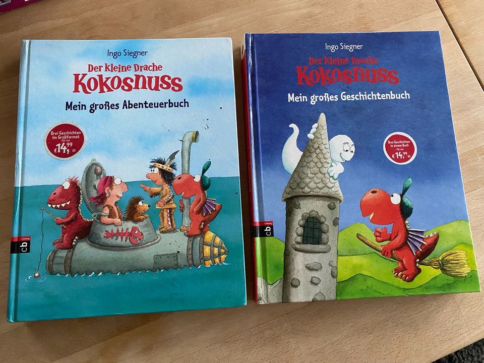 Drache Kokosnuss Ingo Siegner Geschichtenbuch Sammelband Kinder in Konstanz