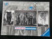 Puzzle von Ravensburger Baden-Württemberg - Heilbronn Vorschau