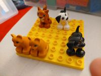 Lego Duplo pl Tiere Hund Katze Niedersachsen - Oldenburg Vorschau