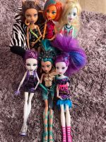 Monster high Puppen pack Baden-Württemberg - Langenau Vorschau