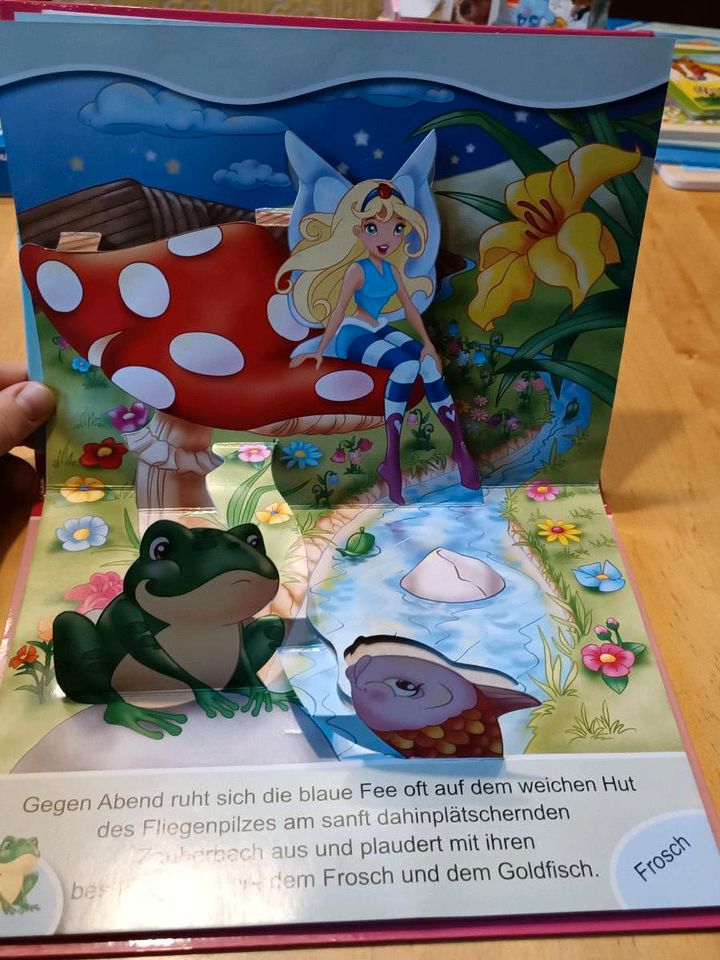 Pop Up Buch "Die Feen" Kinderbuch Bilderbuch in Erfurt